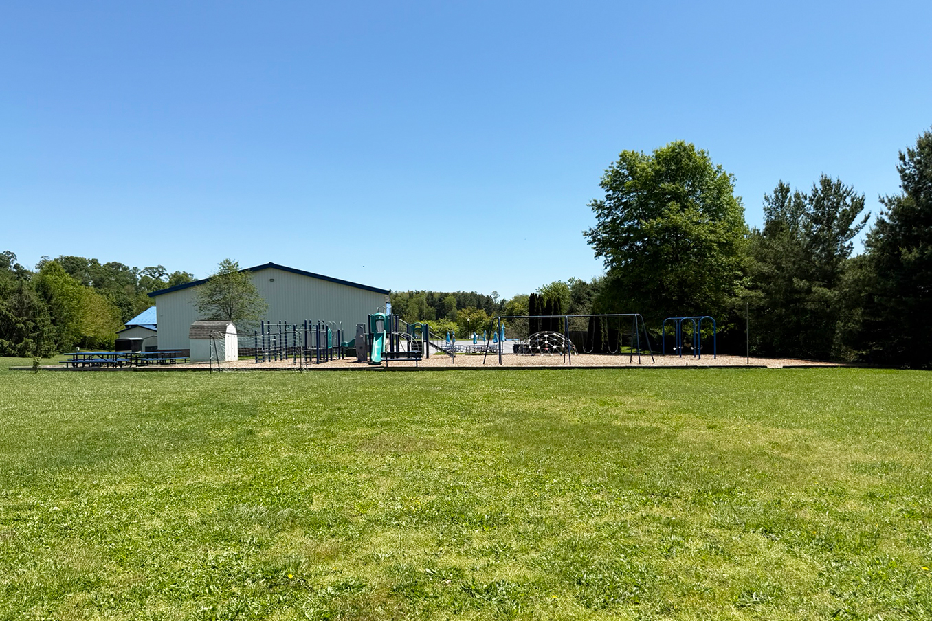 back-field